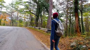 Sonbaharda ormanda yürüyüş yapan genç bir kadın. Sırt çantalı sağlıklı Asyalı kadın tahta alıyor..