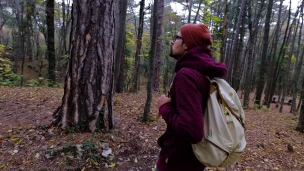 Человек наслаждается природой, гуляя один в лесу в осенний день — стоковое видео