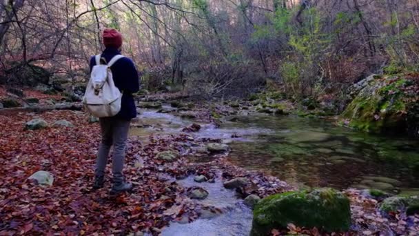 Açık Hava Faaliyetleri Doğadaki Seyahat Konsepti Adamı Ulusal Park Taki — Stok video