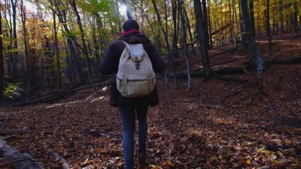 Buitenactiviteiten Reisconcept Man Natuur Achteraanzicht Van Wandelende Persoon Bospad Nationaal — Stockvideo