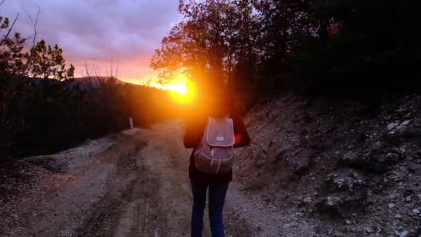 Νεαρή Γυναίκα Πεζοπορία Στο Δάσος Φθινόπωρο Ακολουθούν Τον Ήλιο Ενεργός — Αρχείο Βίντεο