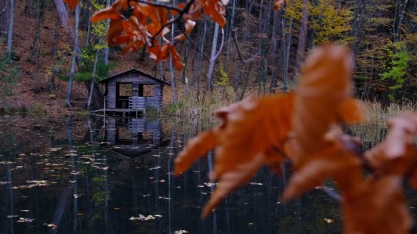Ένα Παλιό Ξύλινο Σπίτι Κοντά Λίμνη Ένα Φθινοπωρινό Δάσος Ιδέα — Αρχείο Βίντεο