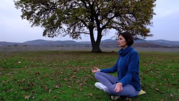 Žena Užívá Jógu Podzimním Parku Poblíž Osamělého Dubu Cvičení Meditace — Stock video