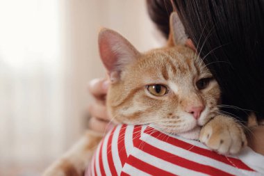 Kanepede kızıl kedisiyle rahatlayan bir kadın. Sıcak sahne, kızlık zarı konsepti. Hayvanlar ve yaşam tarzı