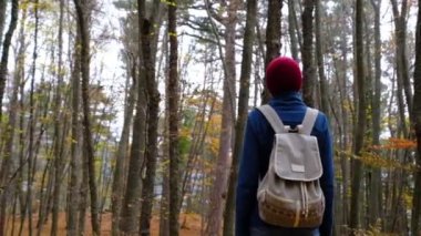 Sonbaharda ormanda yürüyüş yapan genç bir kadın. Sırt çantalı sağlıklı Asyalı kadın tahta alıyor. Orman manzaralı, boş zamanlarında, biyo-turizmde, yürüyüş yapan kadın gezgin.