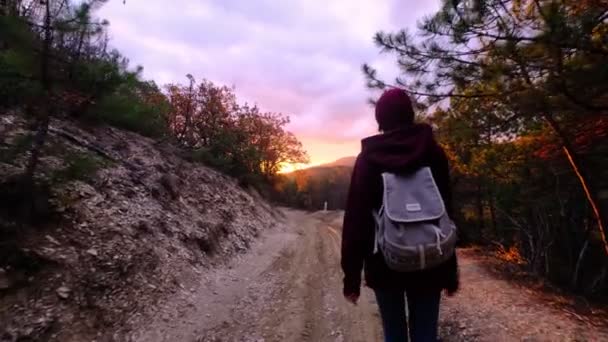 Mladá Žena Turistika Lese Podzim Sluncem Aktivní Zdravá Asijská Žena — Stock video