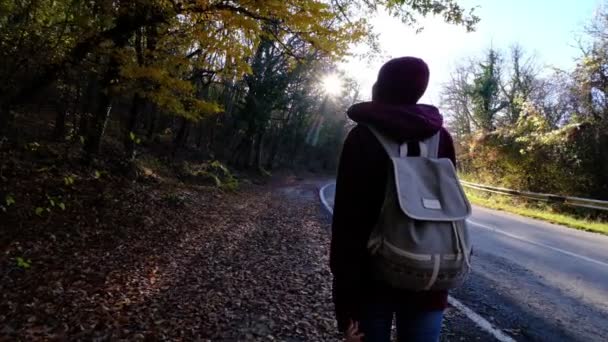 秋に森の中をハイキングする若い女性 バックパックを木に取ってアクティブな健康的なアジアの女性 フォレストリアビュー レジャー バイオツーリズム ハイキングに沿って散歩を持つ女性旅行者 — ストック動画