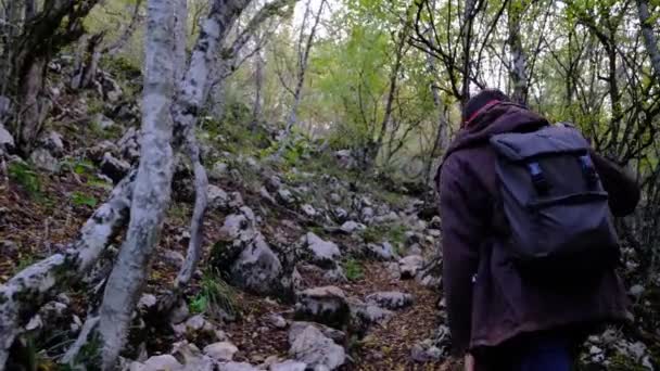 Resenären Guy Promenader Pittoreska Plats För Vilda Djur Och Blickar — Stockvideo