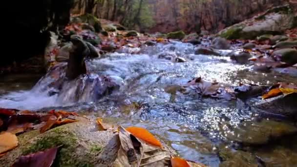 Vista Del Río Que Fluye Desde Cascada Montaña Río Del — Vídeo de stock