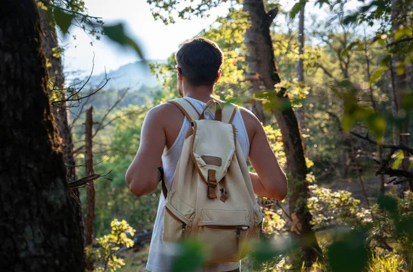 Hombre Viajero Con Mochila Senderismo Aire Libre Verano Atardecer Bosque — Foto de Stock