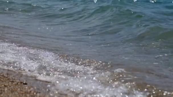 Beautiful Landscape Wave Runs Shore Sea Sunshine Day Close — Stock Video