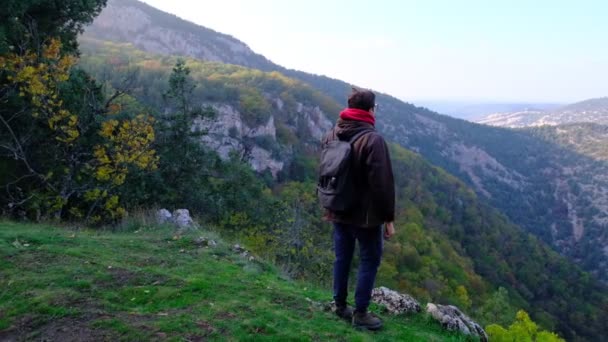 Traveler Guy Wandert Malerischen Ort Der Tierwelt Und Blickt Auf — Stockvideo