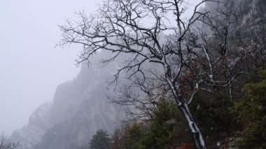 Kar yağışlı kış dağları kar videosu. Şaşırtıcı doğal bir olay. İlkbaharın ortasında dağlarda kar.