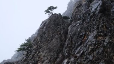 Kar yağışlı kış dağları kar videosu. Şaşırtıcı doğal bir olay. İlkbaharın ortasında dağlarda kar.