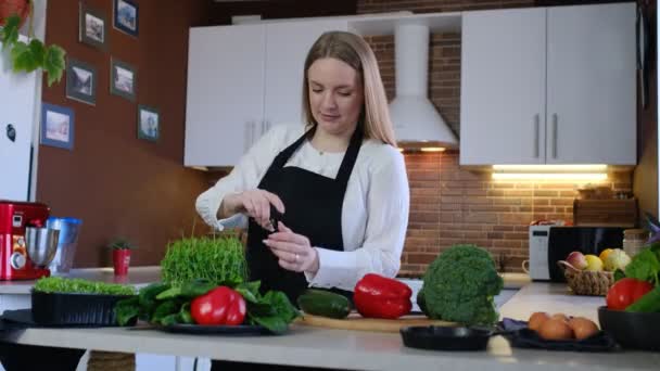 Begreppet matupplevelser vid matlagning i hemmet — Stockvideo