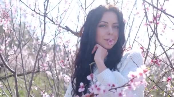 ピンクの桃の花の木がある果樹園で楽しい女性 — ストック動画
