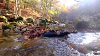 Dağdaki şelaleden akan nehrin manzarası. Dağlardaki orman nehri. Dağ Ormanı nehir manzarası. Güzel bir manzara. Düş! Sonbahar havası.
