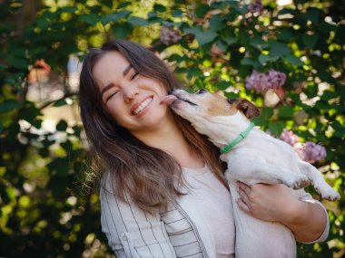 Jack Russell Terrier 'ı olan genç bir kadın. Sevimli hayvan. Çiçek açan leylak çalılarının arka planına karşı bir sarılma