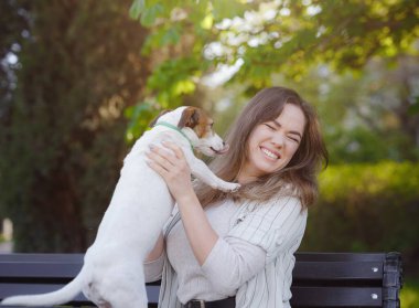 Jack Russell Terrier 'ı olan genç bir kadın. Sevimli hayvan. Yeşil bir parkta güzel bir bahar akşamı yürüyüşü. Bankta sarılmak.