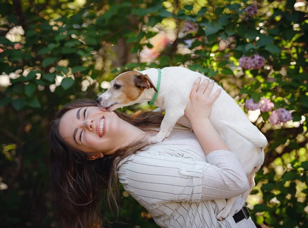 Mladá Žena Svým Roztomilým Jack Russell Teriér Venku Krásné Zvířátko — Stock fotografie