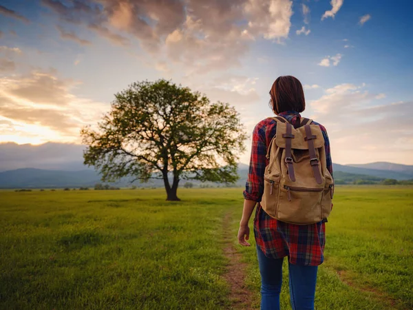 Asian Traveler Woman Walk Dirty Road Sunshine Oak Tree Plaid — Stock Photo, Image