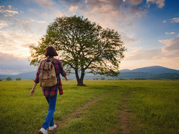 Asian Traveler Woman Walk Dirty Road Sunshine Oak Tree Plaid — Stock Photo, Image