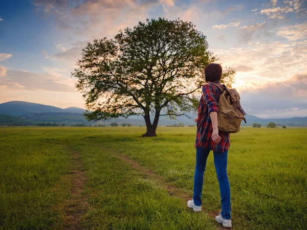 Asian Traveler Woman Walk Dirty Road Sunshine Oak Tree Plaid — Stock Photo, Image