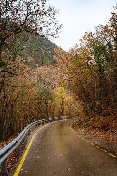 Landscape Autumn Season Rainy Day Travel Yellow Leaves Transportation Empty — Stock Photo, Image