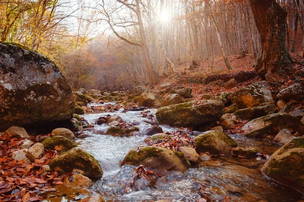 Autumn Forest River Creek View Creek Mountain Waterfall Autumn Forest — Stock Photo, Image