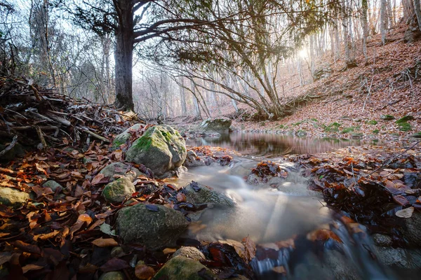 Autumn Forest River Creek Ansicht Bach Vom Gebirgswasserfall Herbst Wald — Stockfoto