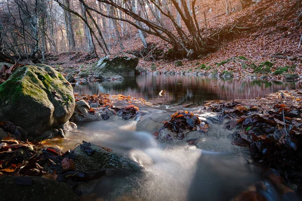 Creek im Herbst Wald Sonnenuntergang. Herbstzeit im Wald — Stockfoto