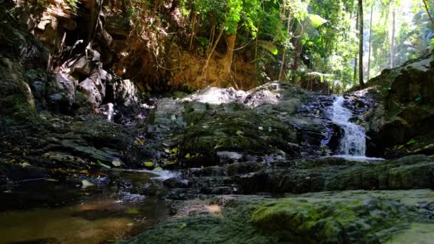 Cascade cachée dans la jungle de la forêt tropicale dans le parc national — Video