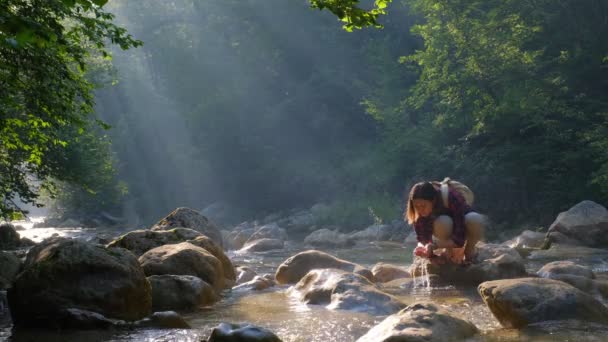 女性旅行者は夏の森の中で川や春からきれいな水を飲む. — ストック動画