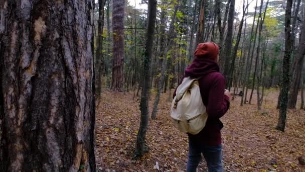 Ritratto di giovane uomo sorridente in piedi nella foresta. — Video Stock