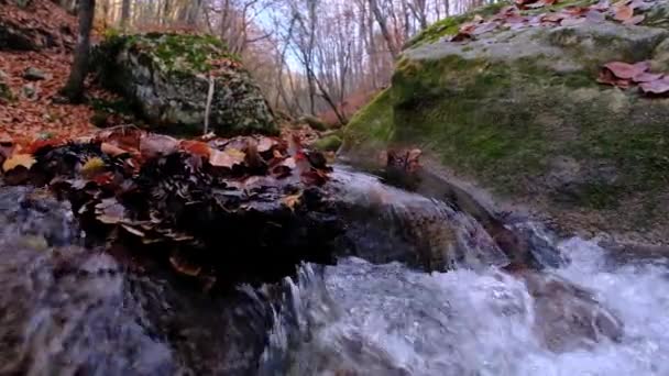 Uitzicht op de rivier die uit de waterval stroomt. Bosrivier in de bergen. — Stockvideo