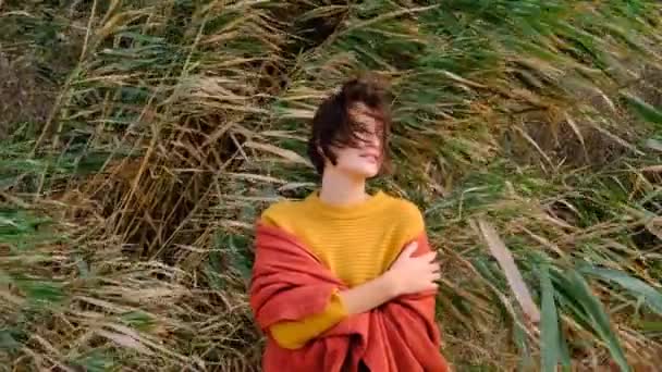 Donna escursionista che indossa maglione giallo trekking nel freddo soleggiato, capelli che soffiano nel vento. — Video Stock