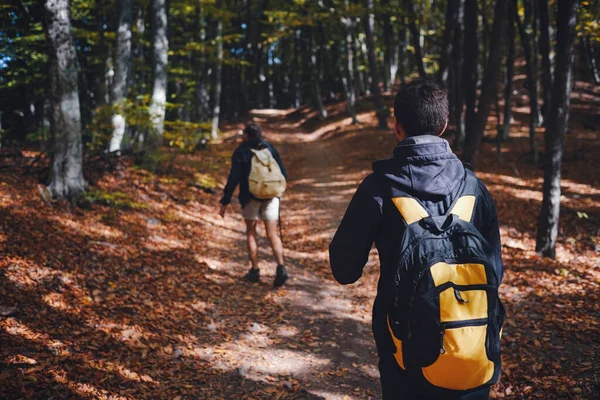 Dois homens amigos com mochila caminhadas juntos na natureza outono. — Fotografia de Stock