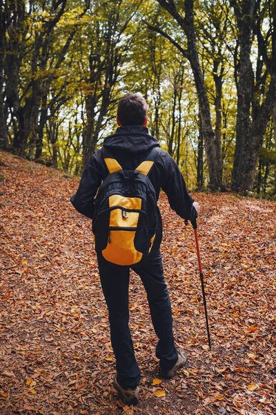 Jeune homme voyageur en automne nature brumeuse — Photo