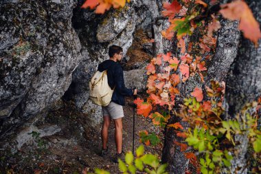 Ormanda yürüyen yalnız bir adam. Sonbahar mevsimi.