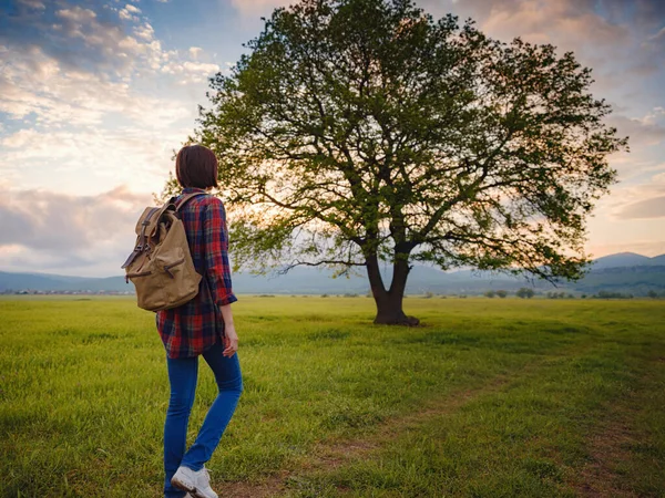 Asian Traveler Woman Walk Dirty Road Sunshine Oak Tree Plaid — Stock Photo, Image