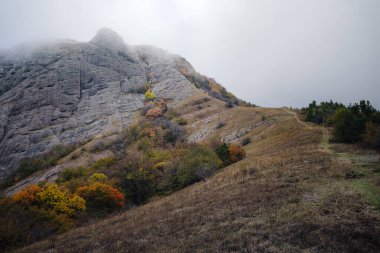 Renkli orman ve bulutlu gökyüzü ile görkemli sabah manzarası.