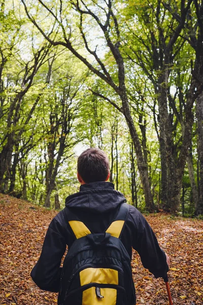 Joven viajero en otoño brumoso naturaleza — Foto de Stock