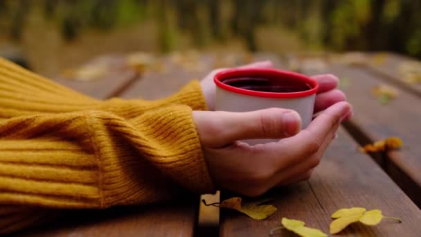 Kvinnors Händer Håller Tremos Kopp Med Varm Drink Idén Och — Stockvideo