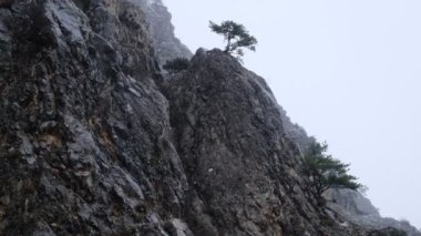 Kar yağışlı kış dağları kar videosu. Şaşırtıcı doğal bir olay. İlkbaharın ortasında dağlarda kar.