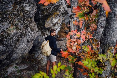 Ormanda yürüyen yalnız bir adam. Sonbahar sezonu. Aktif sırt çantalı gezgin renkli doğa yürüyüşü. Parlak sonbahar renkleri. Mutlu gezgin açık havada