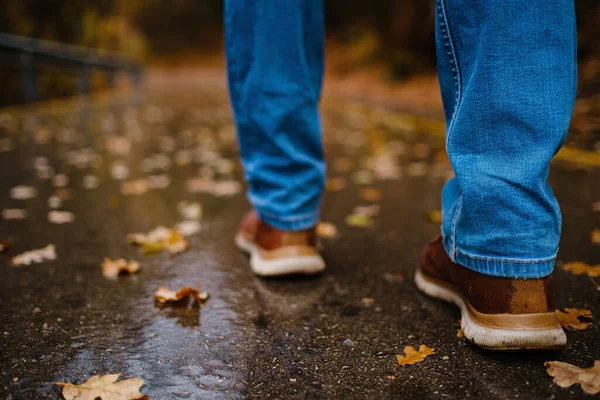 Sonbahar Ormanlarında Yağmurda Asfalt Yolda Yürüyen Bir Kadının Ayakları Sonbaharda — Stok fotoğraf