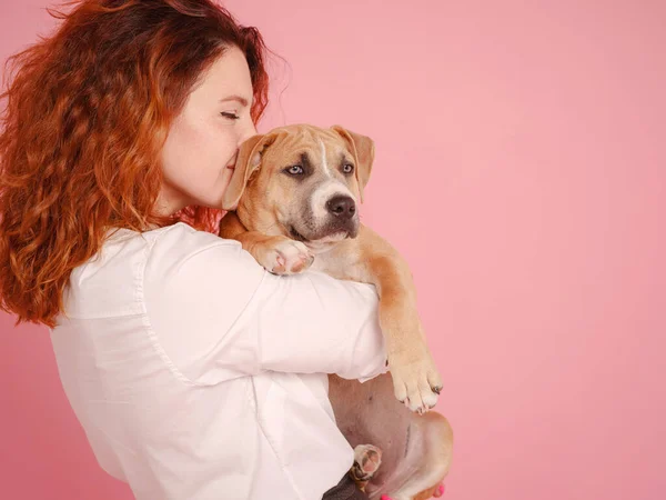 Mulher com filhote de cachorro American Staffordshire Terrier posando em estúdio — Fotografia de Stock