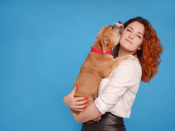 Mulher com filhote de cachorro American Staffordshire Terrier posando em estúdio — Fotografia de Stock