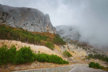 Bulutlu bir günde, yaz ormanlarında asfalt yol.