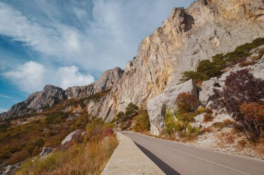 Bulutlu bir günde, yaz ormanlarında asfalt yol.